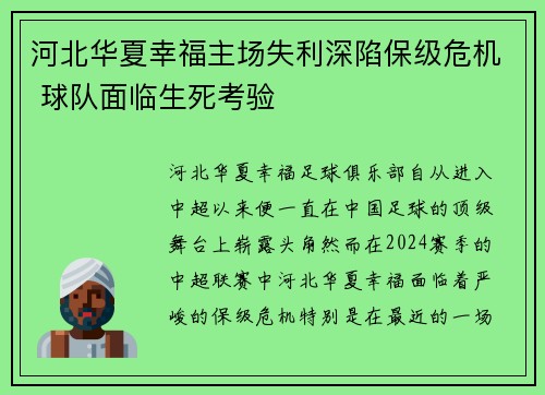 河北华夏幸福主场失利深陷保级危机 球队面临生死考验